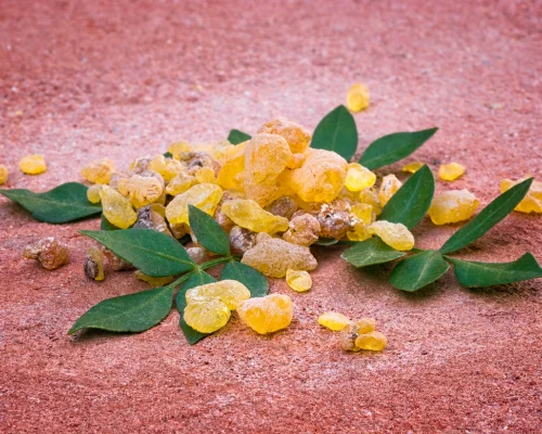 Boswellia (Shallaki) Extract